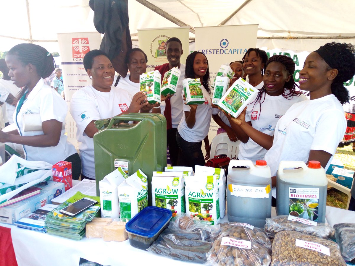 API_Energy's tweet image. 