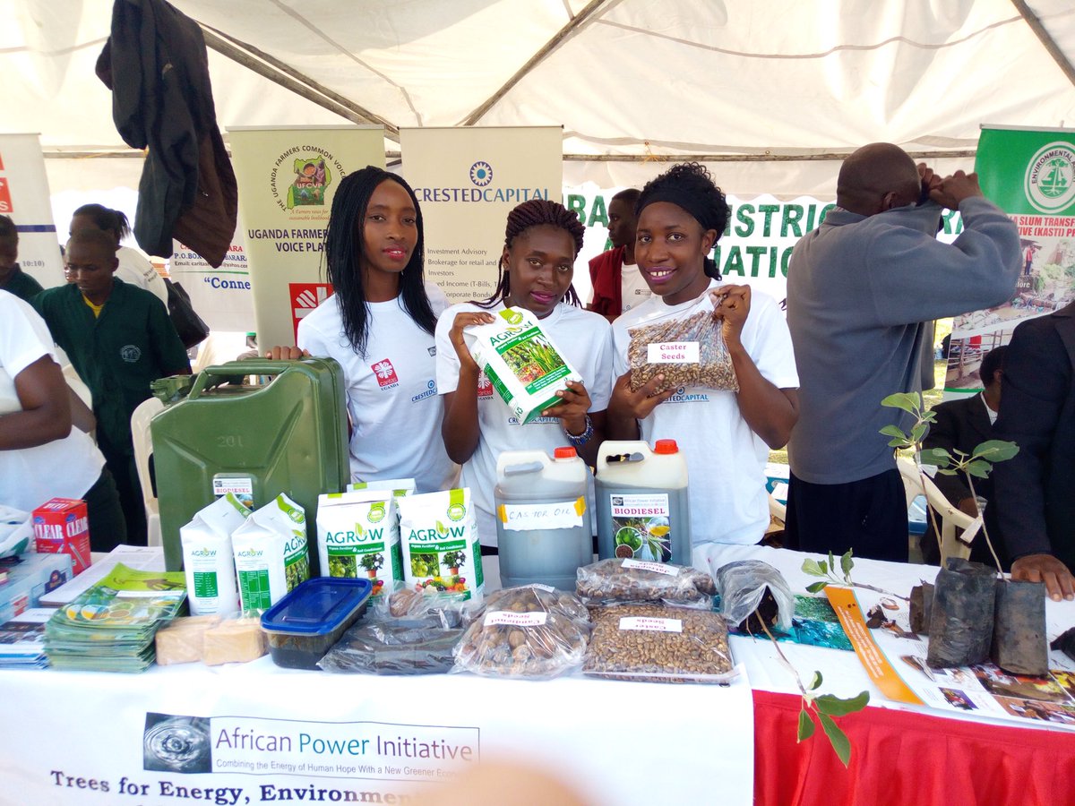 API_Energy's tweet image. 