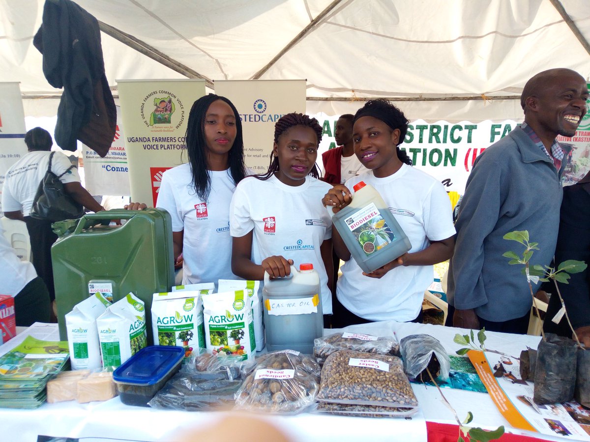 API_Energy's tweet image. 