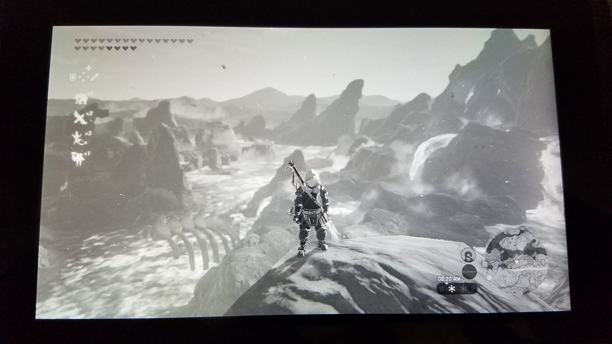 LegacyX0's tweet image. Such a strange option to add, @NintendoAmerica, but I like it.  #NintendoSwitch #SwitchUpdate