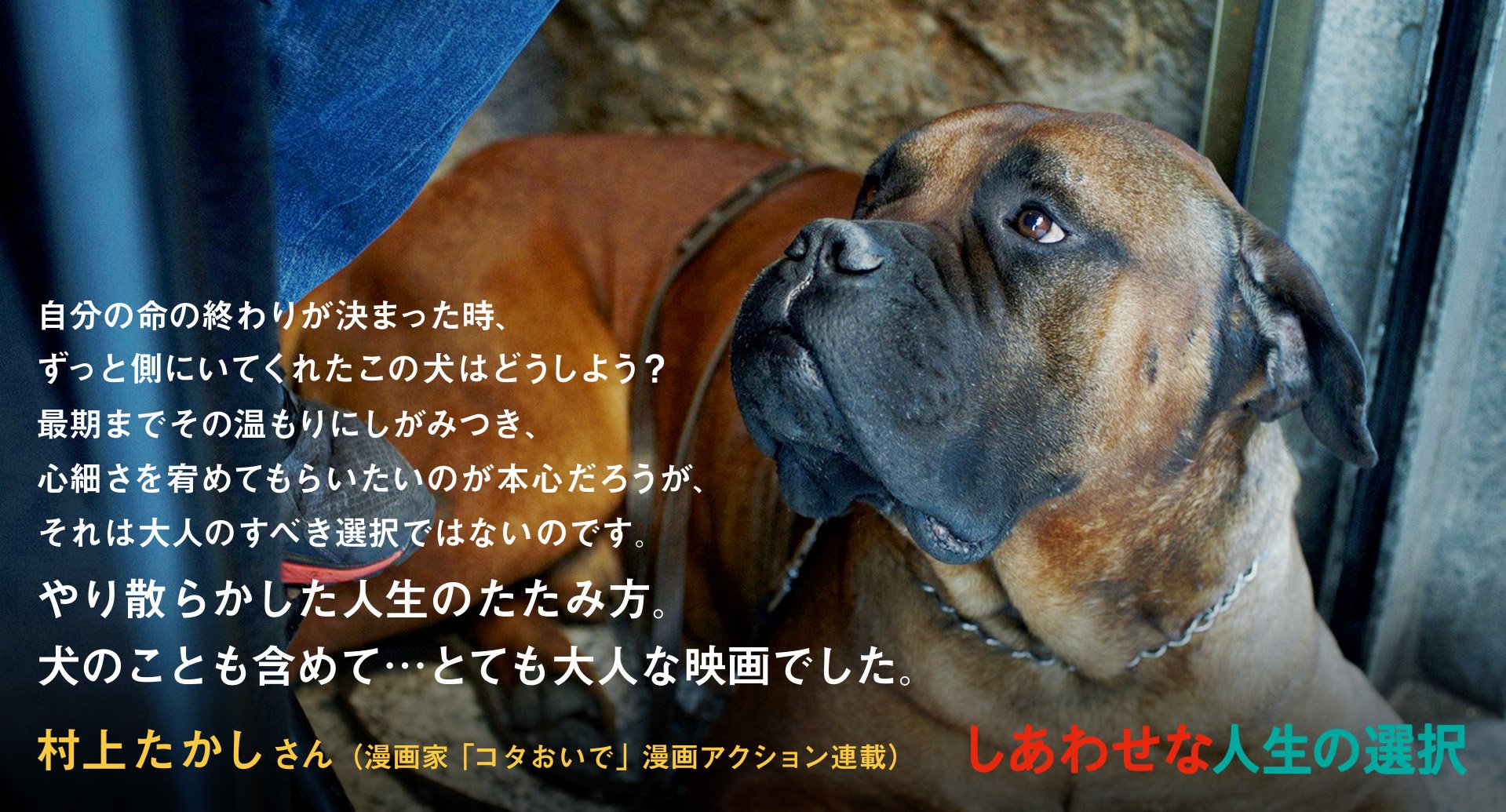 コタおいで Twitter Search Twitter
