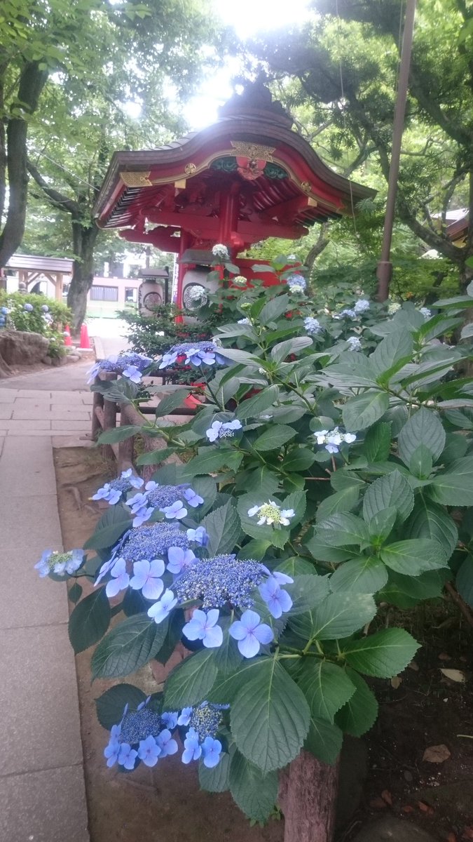 眼鏡小僧 tweet media