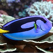 kandraking's tweet photo. #MondayMotivation #Creating #Episides 4 TV show Getaway To Paradise @ParadiseGet #Dory @greatbarrierinc @Australia @DiscoverQLD #Blessed https://t.co/hmfxw5ZOld