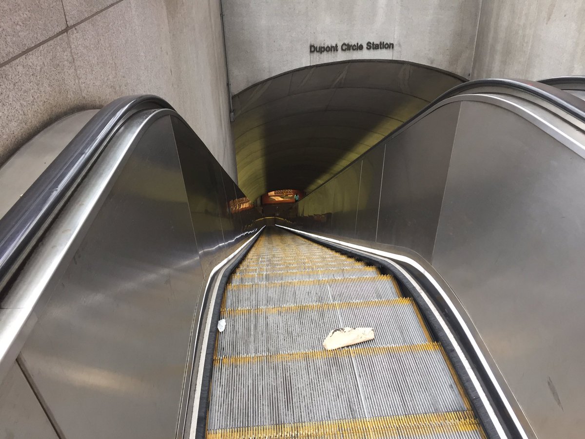 tigerpridegold's tweet photo. That's a tall Escalator! https://t.co/AqyifztswJ