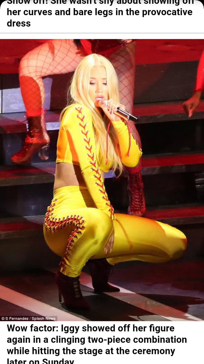 cailey_baker's tweet photo. Why is iggy dressed like a softball? https://t.co/Kr9leqnwBv