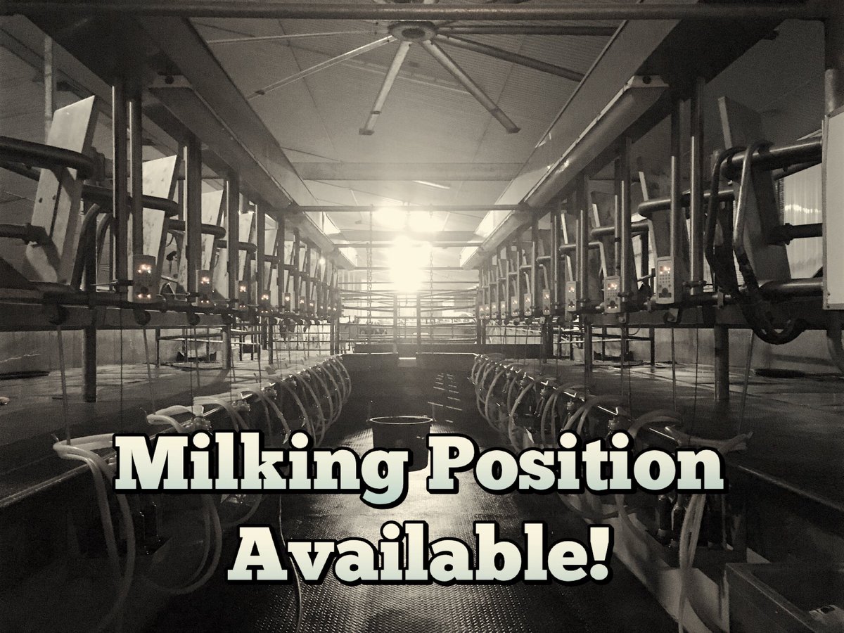 Looking to HIRE! Part-time afternoon milker. 1-3:30 pm. Flexible days. Located in Woodstock. DM for details or text 519-532-3071.