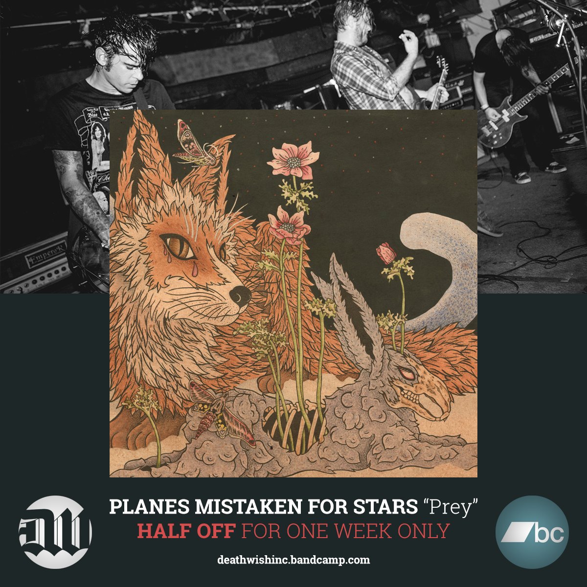 deathwishinc's tweet image. Grab a copy of @planes666 “Prey” on @Bandcamp for only $4! One week only!
bit.ly/2tlL3w6

#dwbandcampsale #planesmistakenforstars