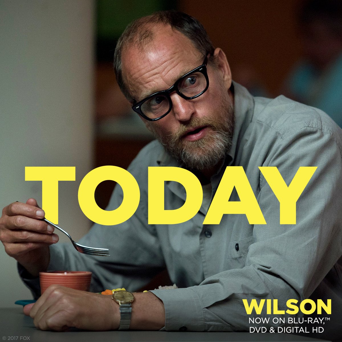WilsonMovie's tweet photo. This is WILSON’s excited face. Watch it on Blu-ray, DVD &amp; Digital HD today! https://t.co/N4usJyVIGq https://t.co/MWmkexVC5p