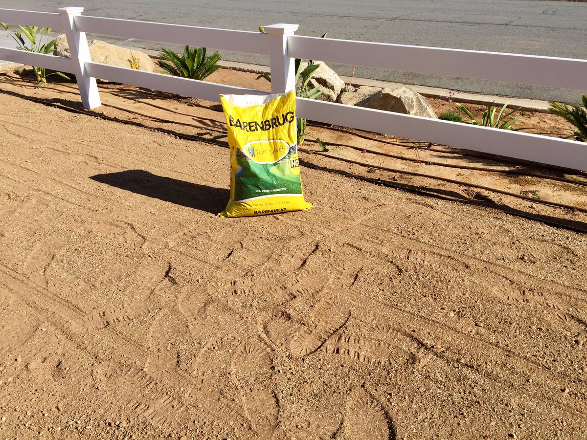 ZachKuenzi's tweet photo. Finally got my front lawn seeded with only the best seed! #RTFSeed with #HGT @BarenbrugUSA #PlantALegacy #GreatInGrass #SouthernCA https://t.co/7ZiRWxfNw8