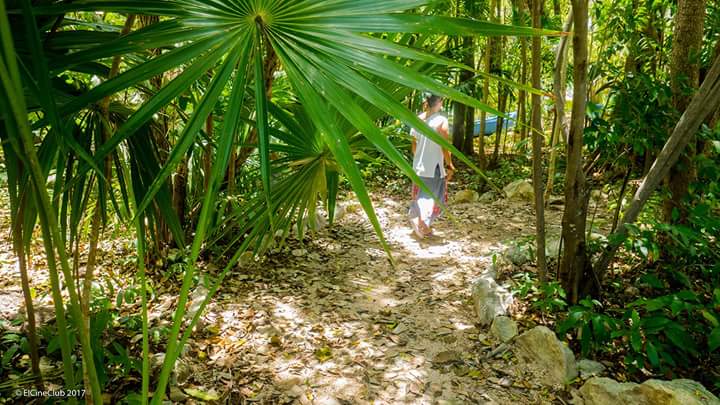 Meditación caminando por los senderos de <a href="/parquelaceiba/">Parque La Ceiba</a> domingo 25 de junio 10:00 am #AportaciónConsciente