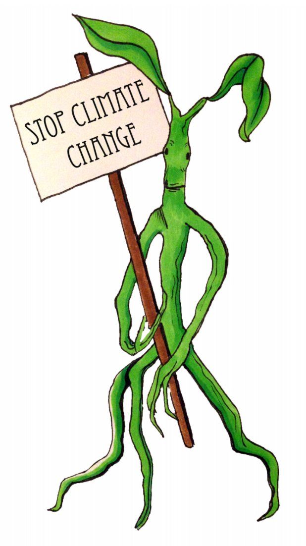 Fandom Forward tweet media