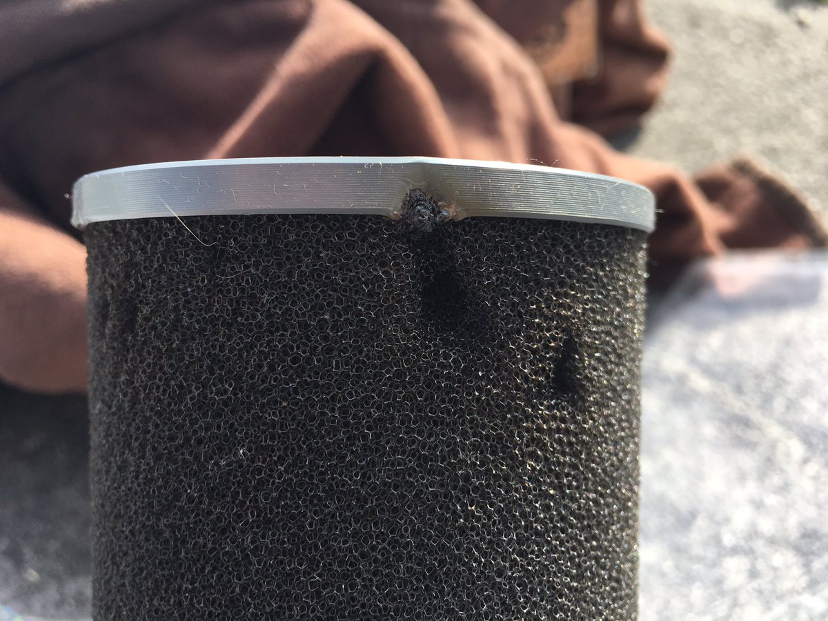 corvidresearch's tweet photo. Note to self: the parabolic mic will light itself on fire when sunny out. #fieldworkfail #MyResearchIsOnFire #ButLikeActually https://t.co/z1W3ARAw55