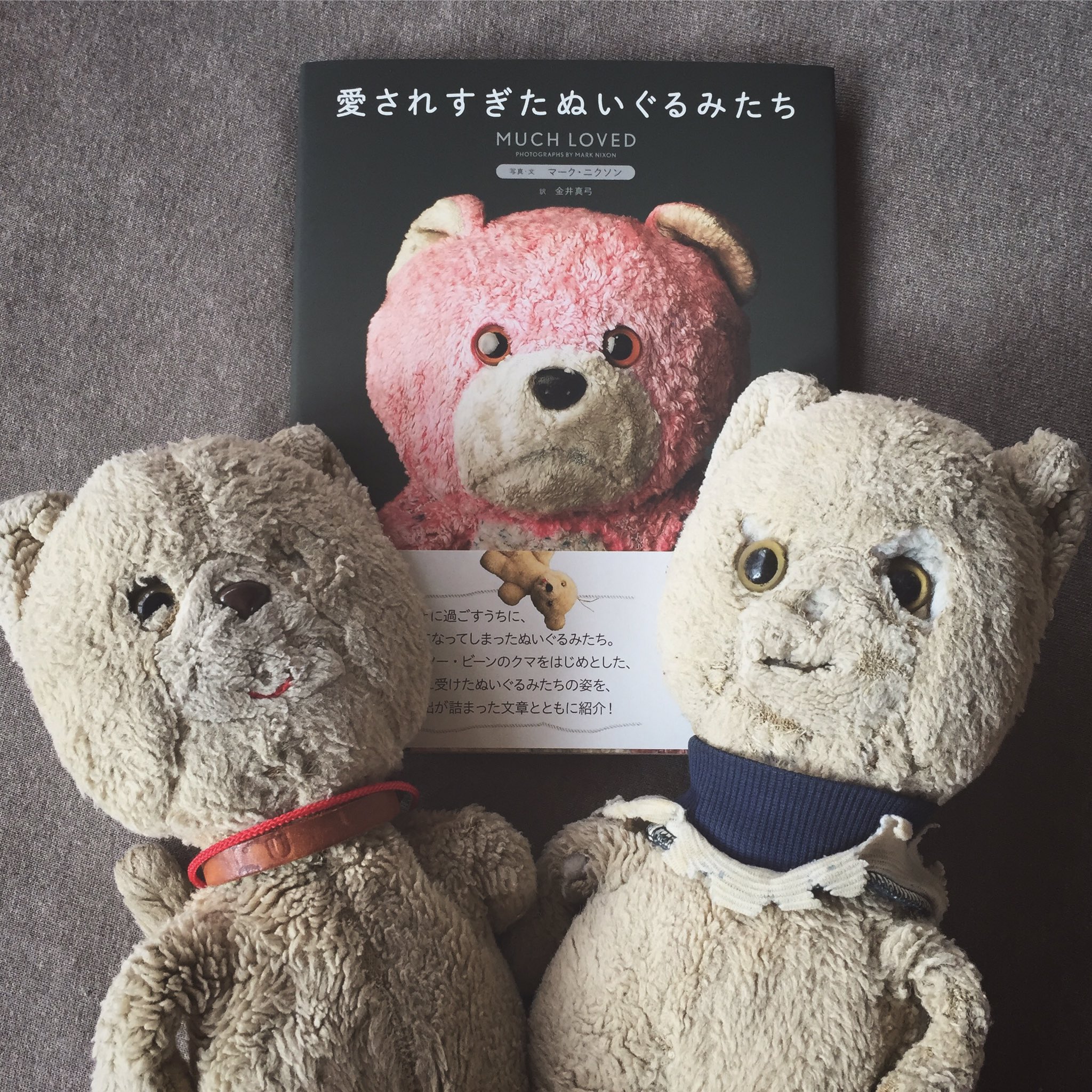 Hiromiko うちの 愛されすぎたぬいぐるみたち Hiromiko うちの 愛されすぎたぬいぐるみたち