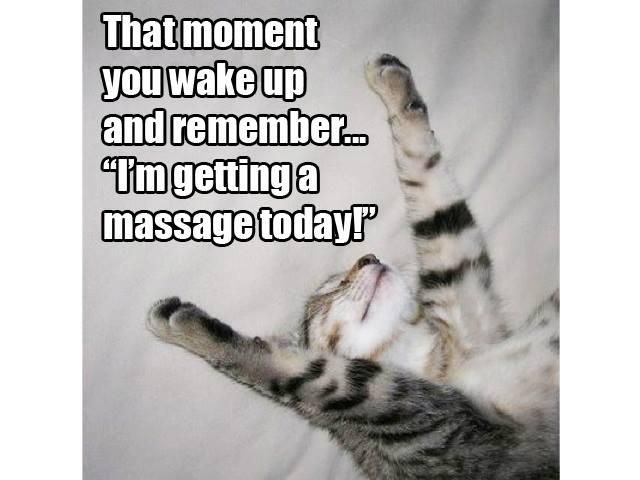 DailyGreatest's tweet photo. Massage Goodies Quotes
https://t.co/BvELIi4AYy https://t.co/wF9CI94vYU