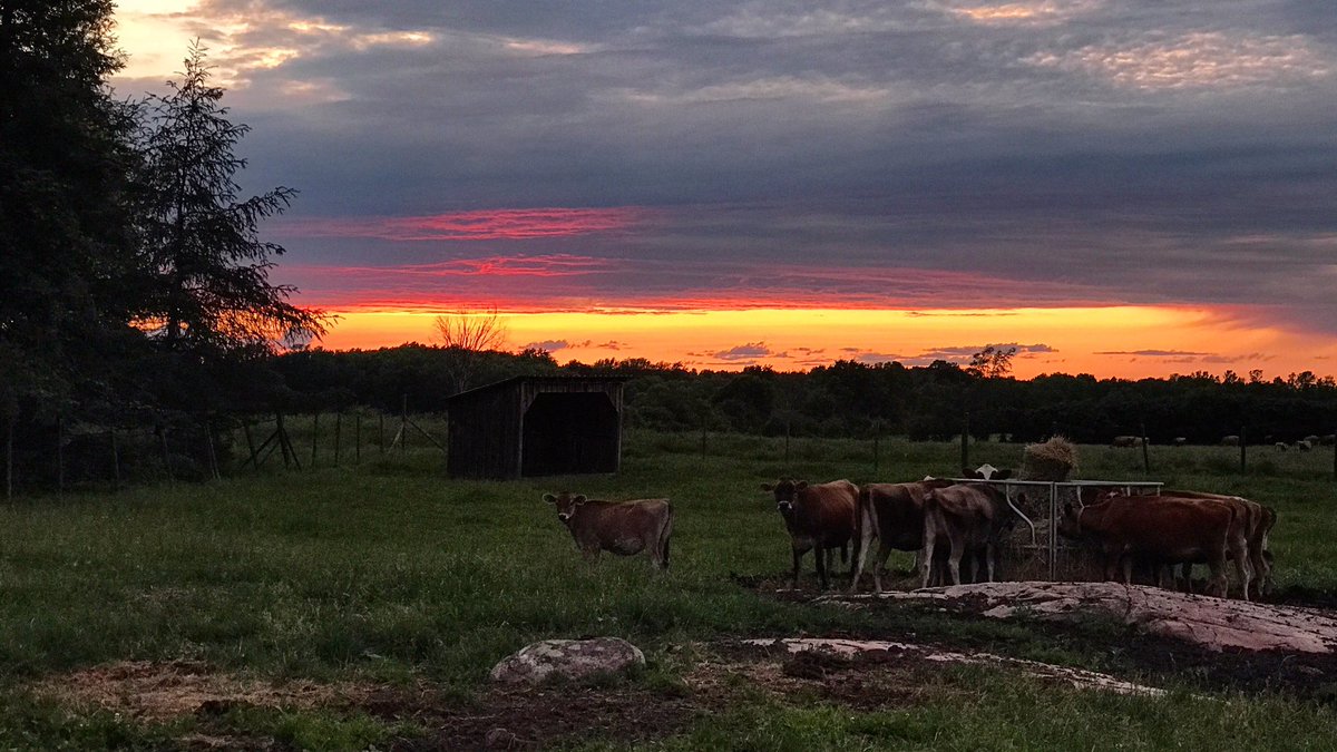 YesWeCanton's tweet photo. Canton's sunset tonight as seen from the farm on Judson St. was jaw dropping! We live in such a beautiful place! #StLawCo #CantonLife https://t.co/WFmnwP37oL