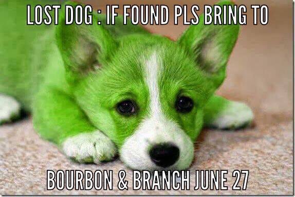 Oh no we lost our lil pup!! He's green &amp; our best friend please bring him to <a href="/BourbonAnd/">Bourbon & Branch</a> Branch 6.27!! (play w him &amp; send us pics till then)
