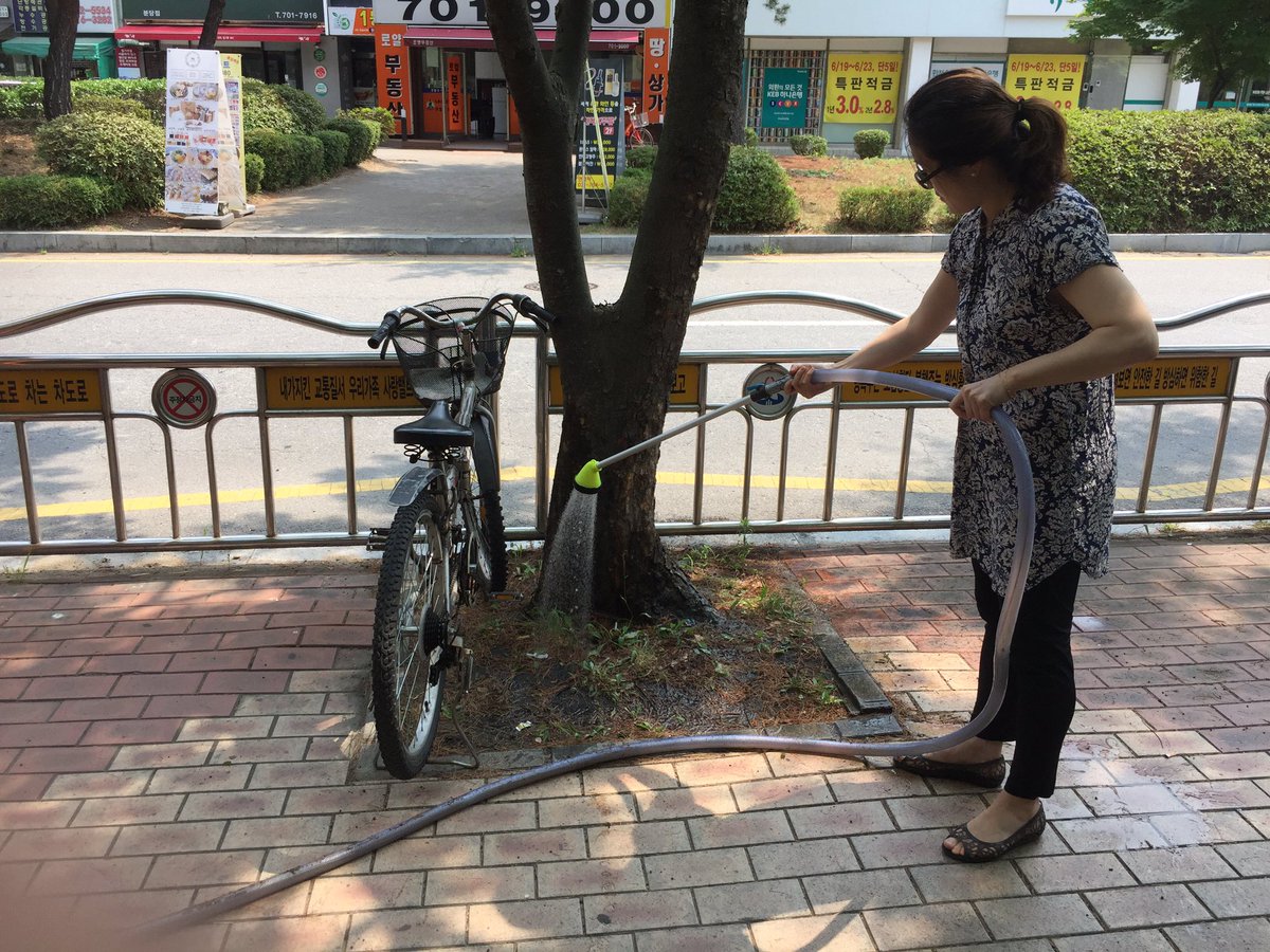 acperujia's tweet photo. #성남시 #서현1동 관내 가로수에 관수작업 진행중입니다~^^ https://t.co/mqjaAXTmsk
