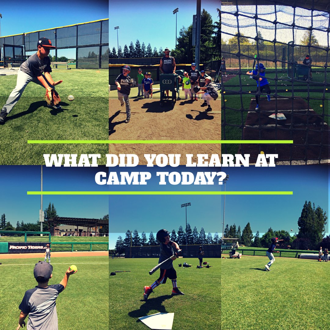 UOP Baseball Camps tweet media
