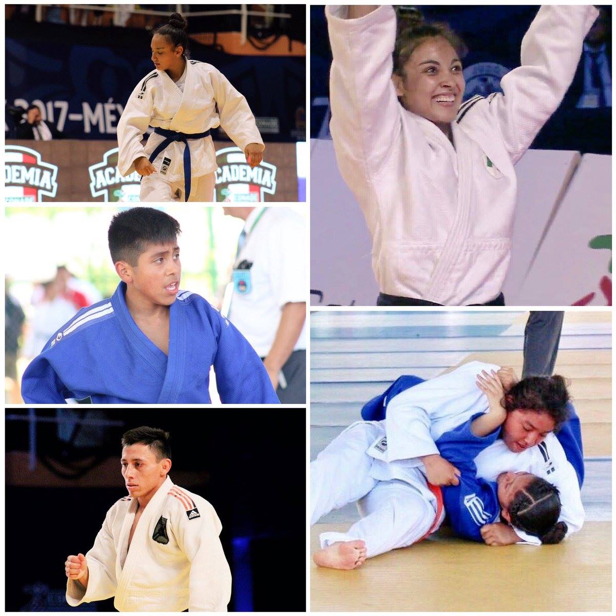 gobiernohidalgo's tweet photo. Felicitamos a judokas hidalguenses que participaron en la #ON2017 y #NJ2017 y obtuvieron medallas de oro, plata y bronce #OrgulloHidalguense https://t.co/J6g7LEZy8J