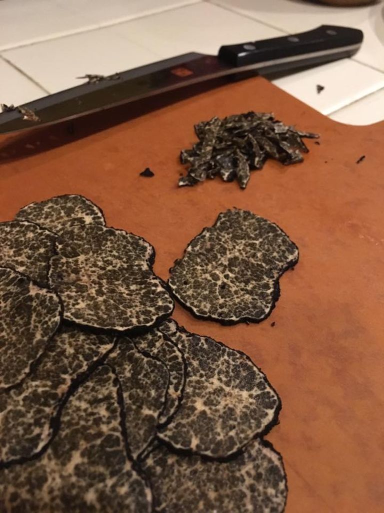 TruffleDogCo's tweet photo. Washington Black Truffles on the chopping block! They are still found in small quantities in the summer months. https://t.co/NHp4TW2XI5