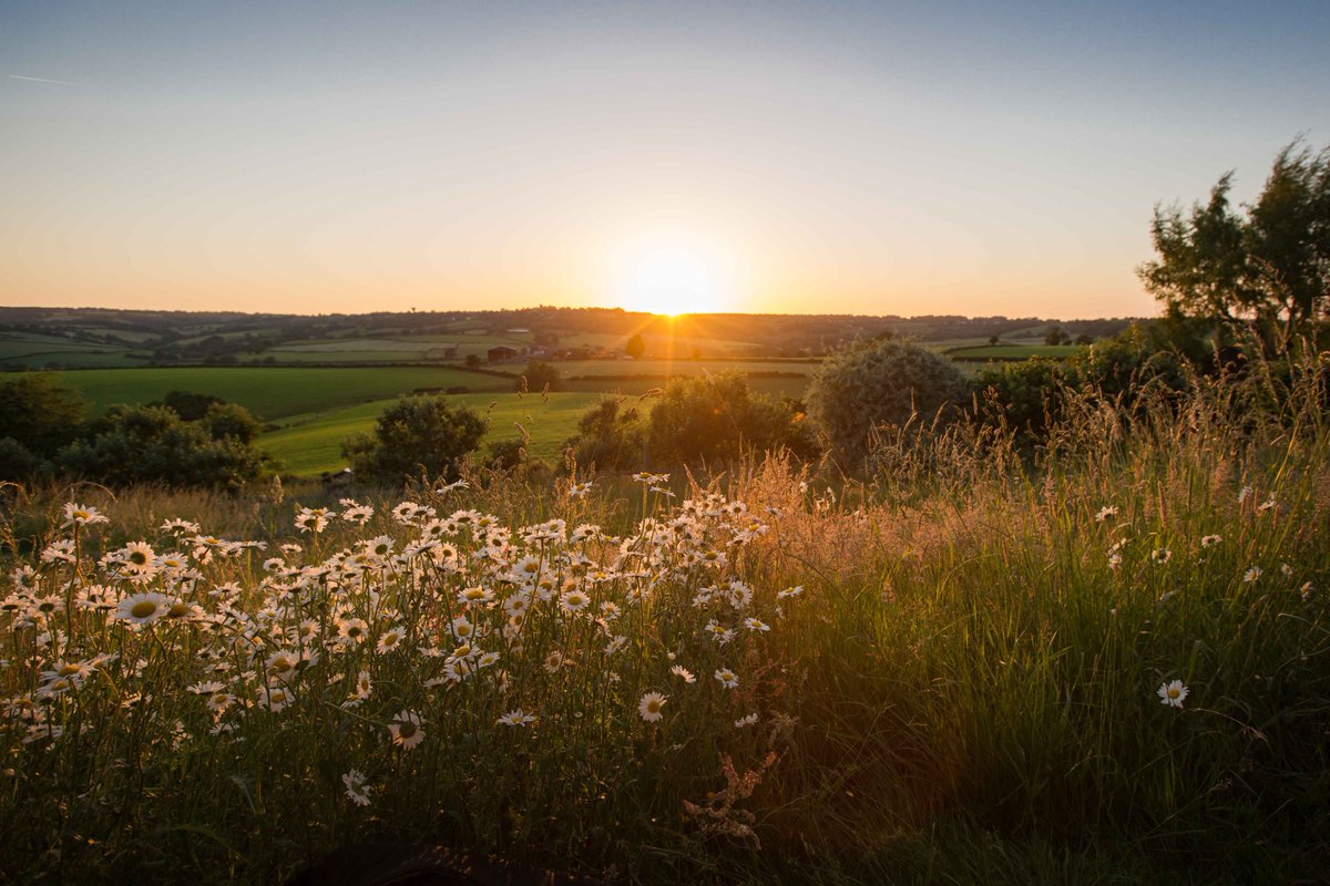 LydiaBoothPhoto tweet media