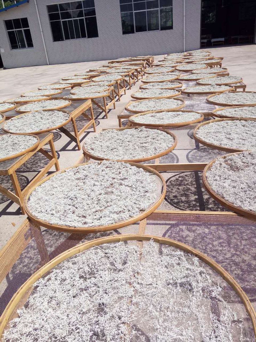 Moyeam1835's tweet photo. Moyem tea growing and processed in the deep mountains. Handcraft remains the powerful medical function ,brings good health to people. https://t.co/jdW42dGbjf