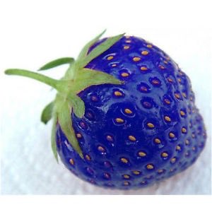 既読くん 青ってなんでこんなに食欲を失せさせる色なんだろうか