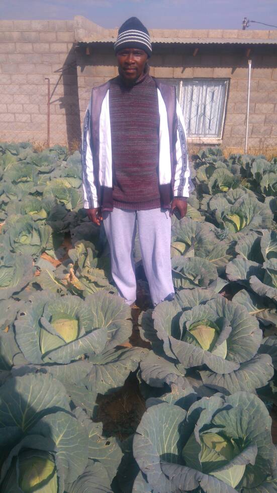 MIT_ORG's tweet photo. An ex-miner who graduated from the #MineworkersDevelopmentAgency Food & Security programme has started his own veg garden in Lesotho. #MIT https://t.co/TZjLO413eT