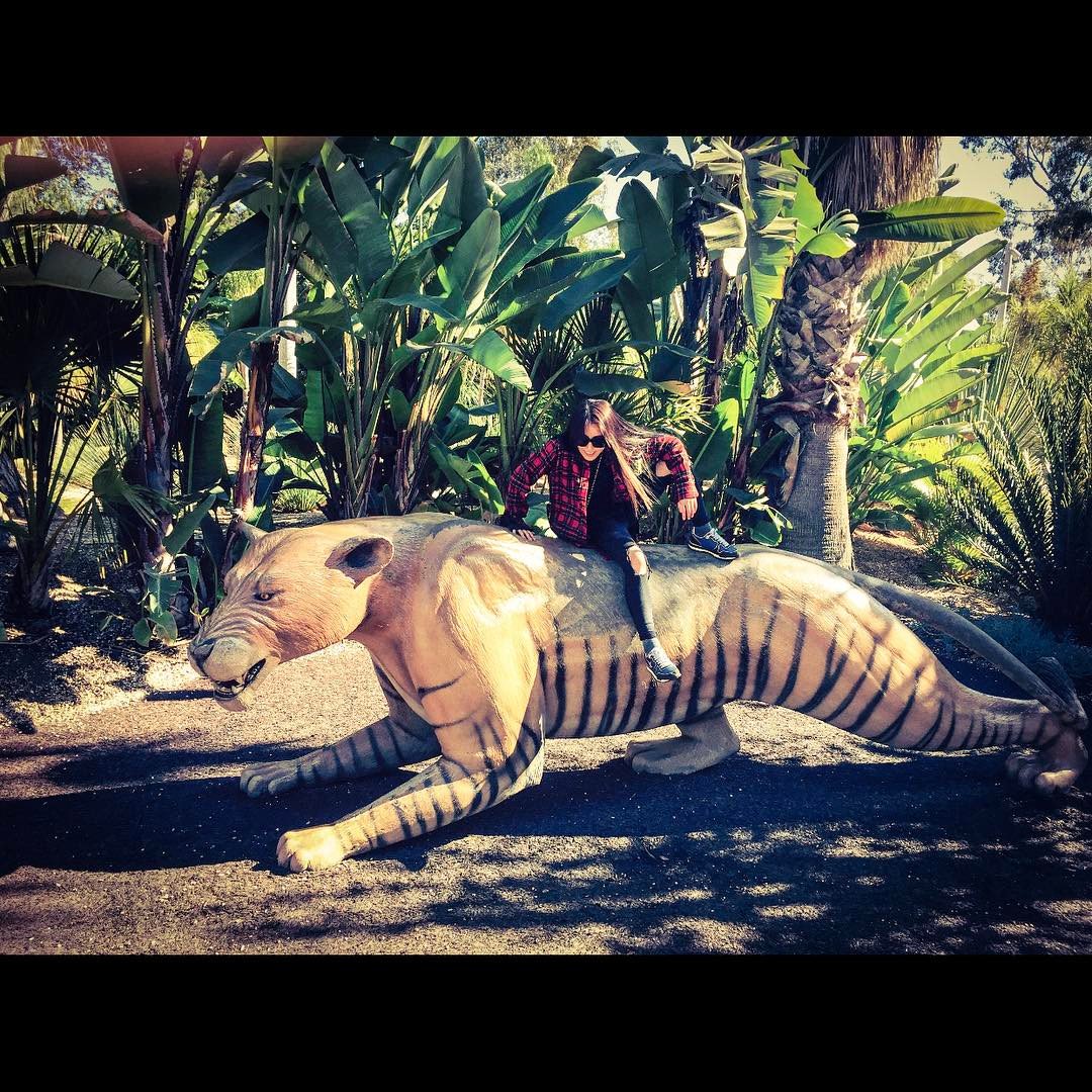 peace__0320's tweet photo. #BoA #JooWon with Tiger 😂😂😂What a cutie couple! #BoWon ☺️ https://t.co/1qXqQwtOZW