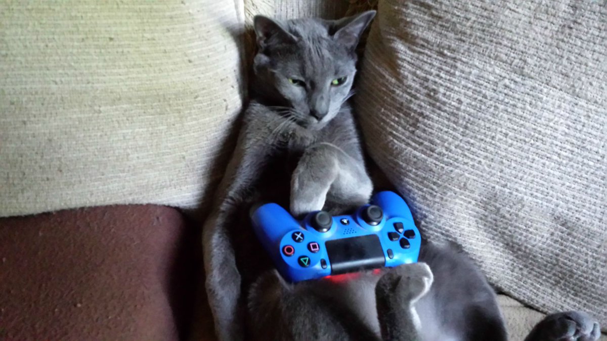 GameOverManu tweet picture