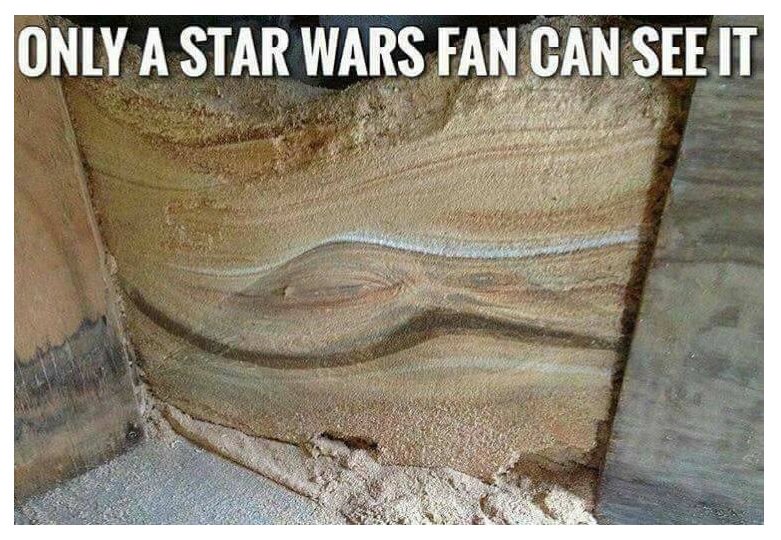 Here's a test to see if you are a TRUE #starwars fan:
Look at the soil section!

Reply #TrueStarWarsFan if see it!  I want to know!
