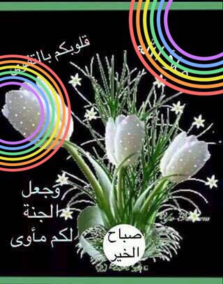 mohammed_sumail's tweet photo. https://t.co/8pb1ylg5cK