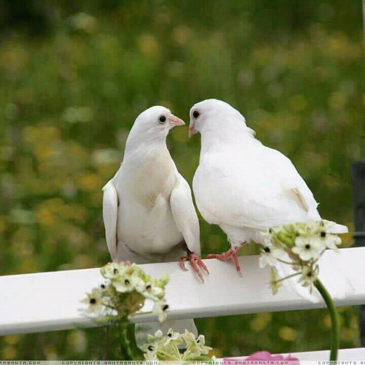 mohammed_sumail's tweet photo. https://t.co/cfcIvEKsNb