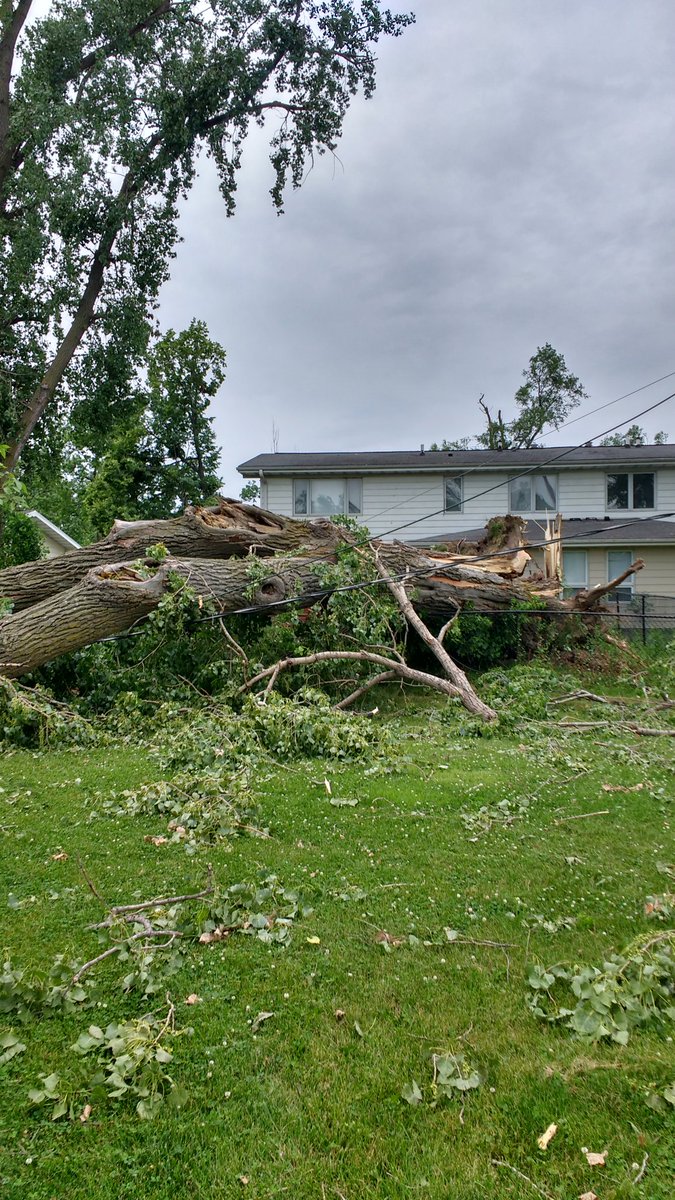 sccakia's tweet image. Some of the trees that are currently on your lines behind my house are the size of school buses and will need a massive crew to remove.