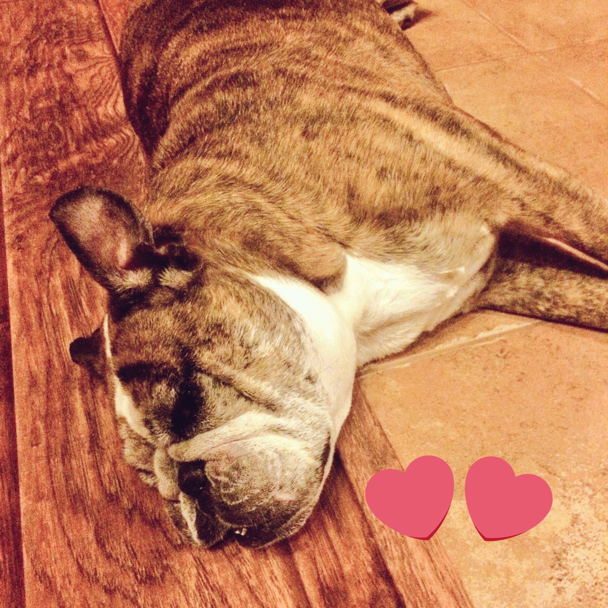 Monterey Sims tweet media