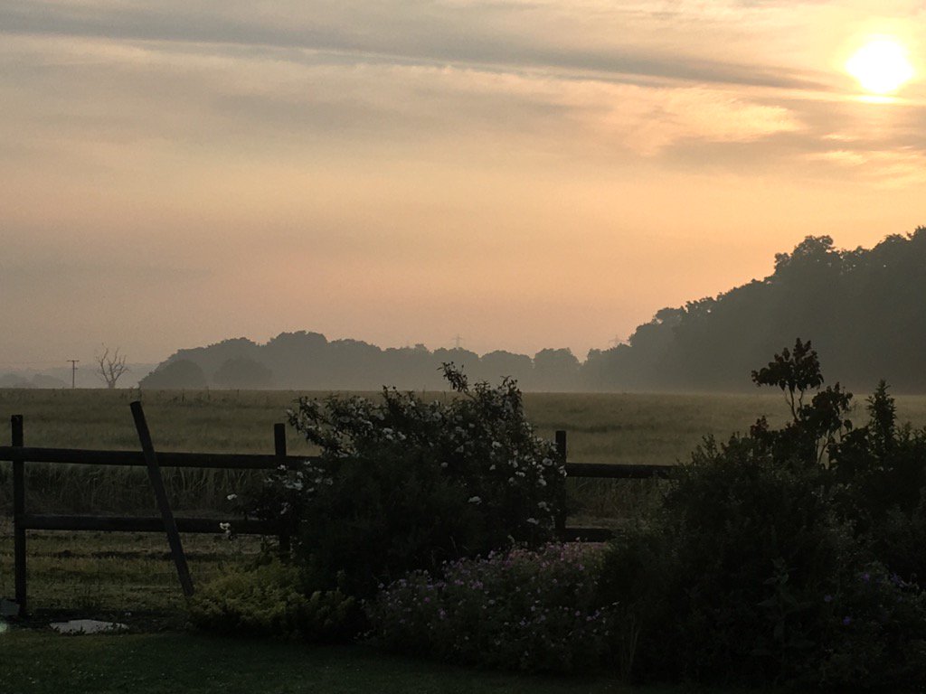 Misty morning to start the day. Looking forward to stewarding @Suffolk_Ag farm business competition today.