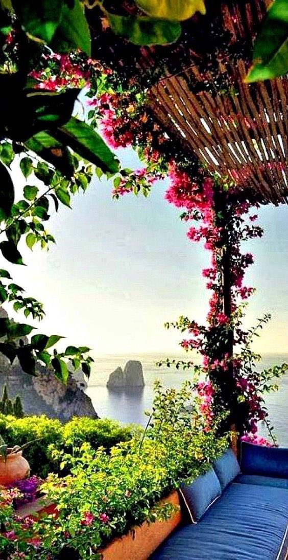 Amber02150's tweet photo. ☀️
☀️Morning Twitterworld☕️
☀️Happy summer day😎⛱👒 https://t.co/p9oR2ebRYS