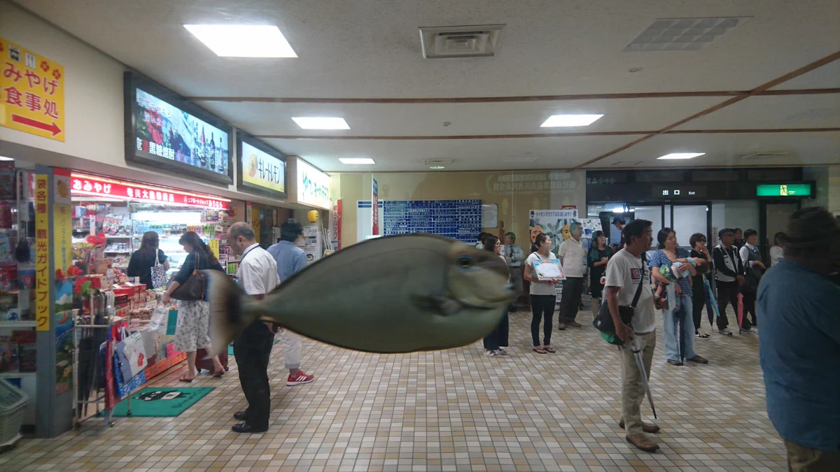 なんだコレww奄美空港の水槽が透明すぎてクソコラみたいになってるww