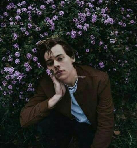 1D_ZquadVoto's tweet photo. My #TeenChoice nominee for #ChoiceMaleArtist is @Harry_Styles https://t.co/cJjJdeQ3gE