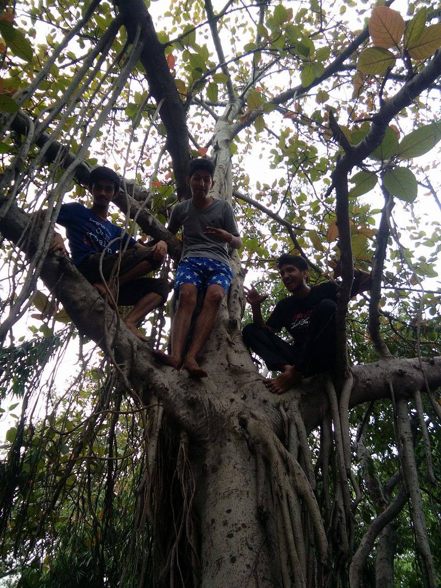 Khiladi_Shiva's tweet photo. #morning_masti #solidseason june2k17 https://t.co/2mviGvah3r