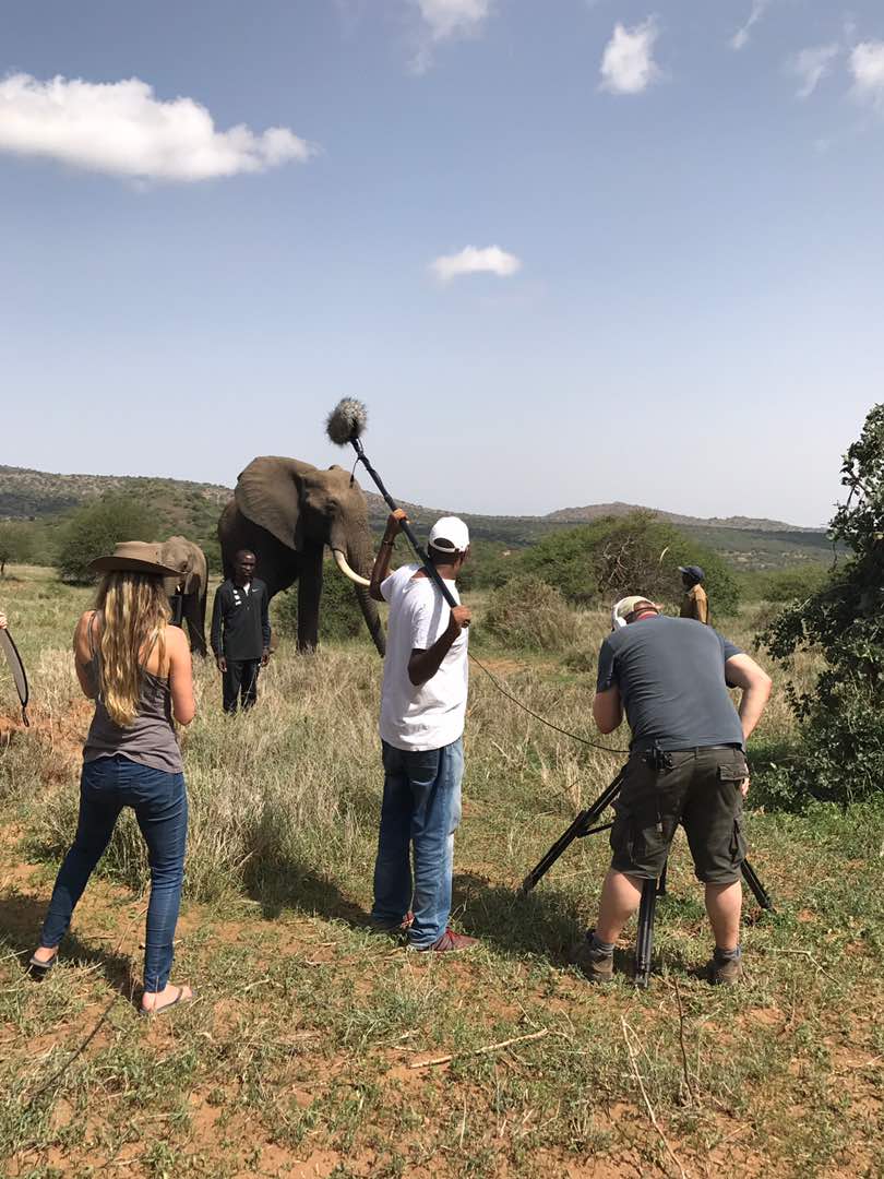 EliudKipchoge's tweet image. Do you that one elephant in its lifetime earns Kenya 1.6m dollars in revenue? @WildAid @GlobalSportsCom @USEmbassyKenya