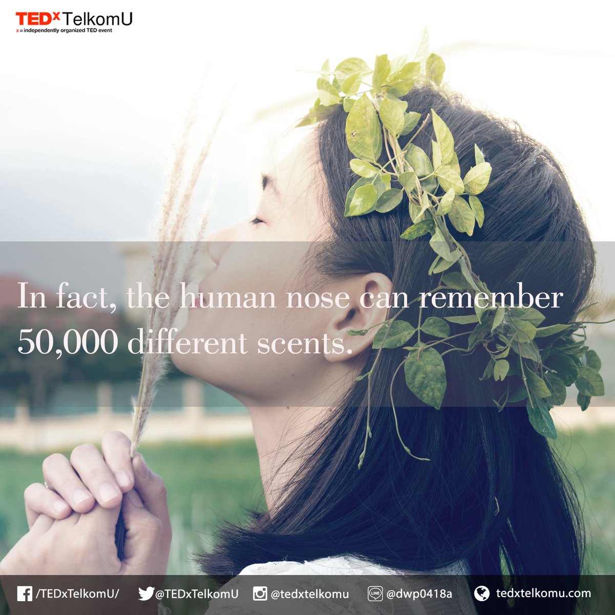 TEDxTelkomU's tweet photo. [Fun Fact]

Did you know?
The human nose can remember 50,000 different scents.

#TEDx
#TEDxTelkomU https://t.co/TAKuPiABYN