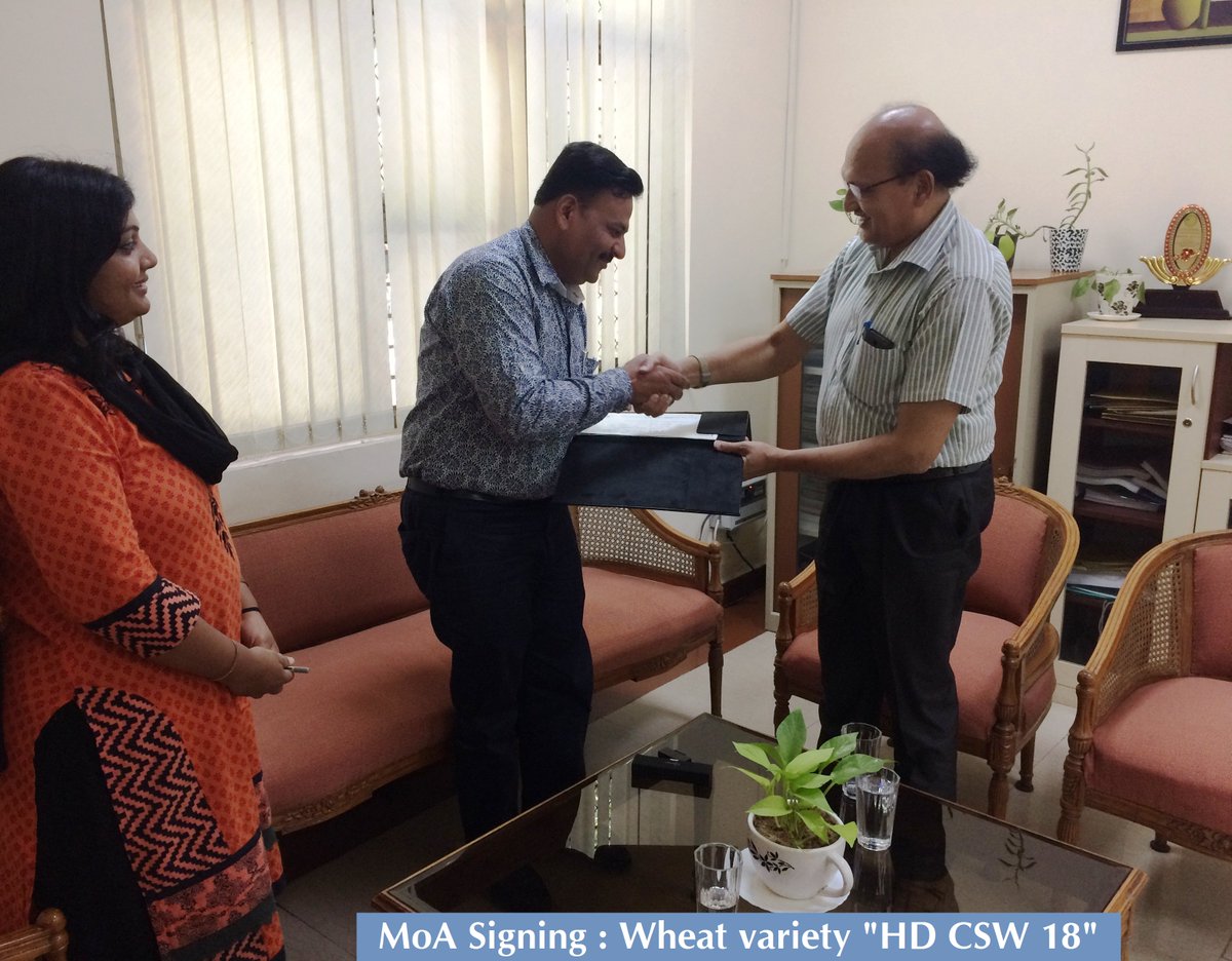 PusaKrishi's tweet photo. #MoASigning between IARI & Astha Beej Pvt Ltd for wheat variety- "HD CSW18"
#SharingTechnology #FosteringProsperity @ztmiari https://t.co/l3ge1ovIAU