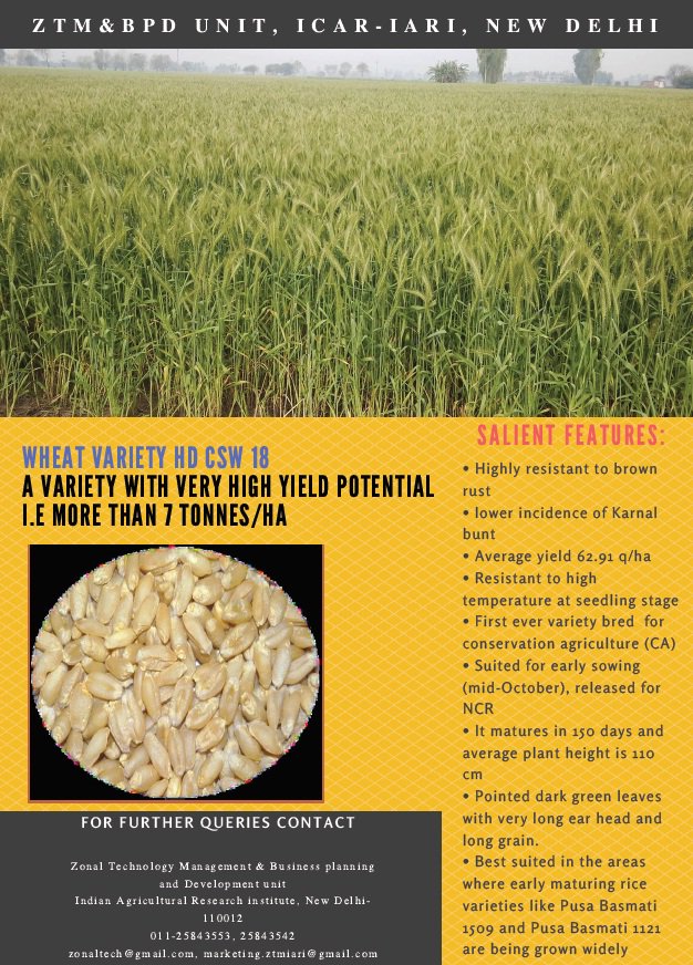 PusaKrishi's tweet photo. #MoASigning between IARI & Astha Beej Pvt Ltd for wheat variety- "HD CSW18"
#SharingTechnology #FosteringProsperity @ztmiari https://t.co/l3ge1ovIAU