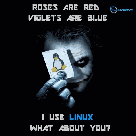 primination's tweet photo. #linux #linuxworld 😍 #BestOS #anonymous #Hackers #first_choice... Everyone should use this😎😎😘 @kalilinux https://t.co/53X68Wt2Bq