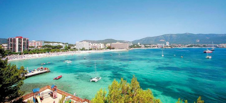 Out There S Cheshire tweet media