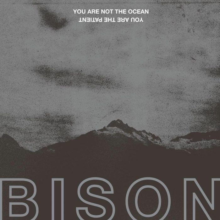 alboomstreams's tweet photo. FIRST LISTEN: Post/Sludge-Metal outfit #Bison stream "You Are Not The Ocean You Are The Patient"  https://t.co/BZkpej1hOp https://t.co/B2ULQKPBAh
