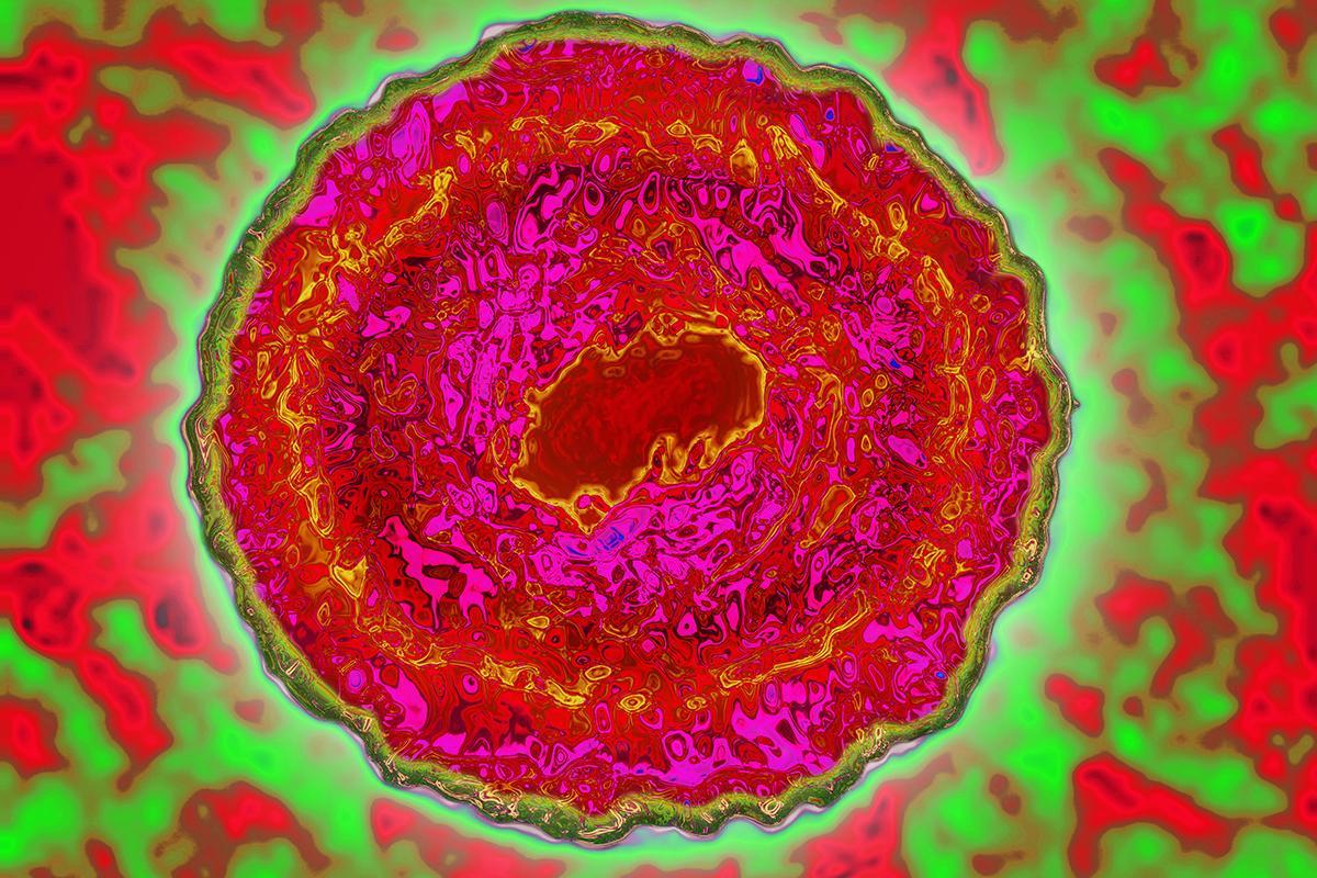 New Scientist tweet media