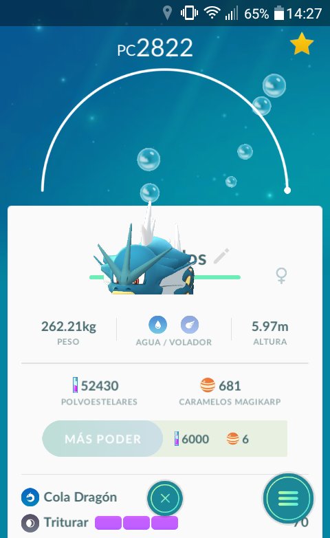 JaviSTRK's tweet photo. Gyarados aprendió buceo @Santy95Rodry @SritaJeje xD https://t.co/zn48z68NuQ