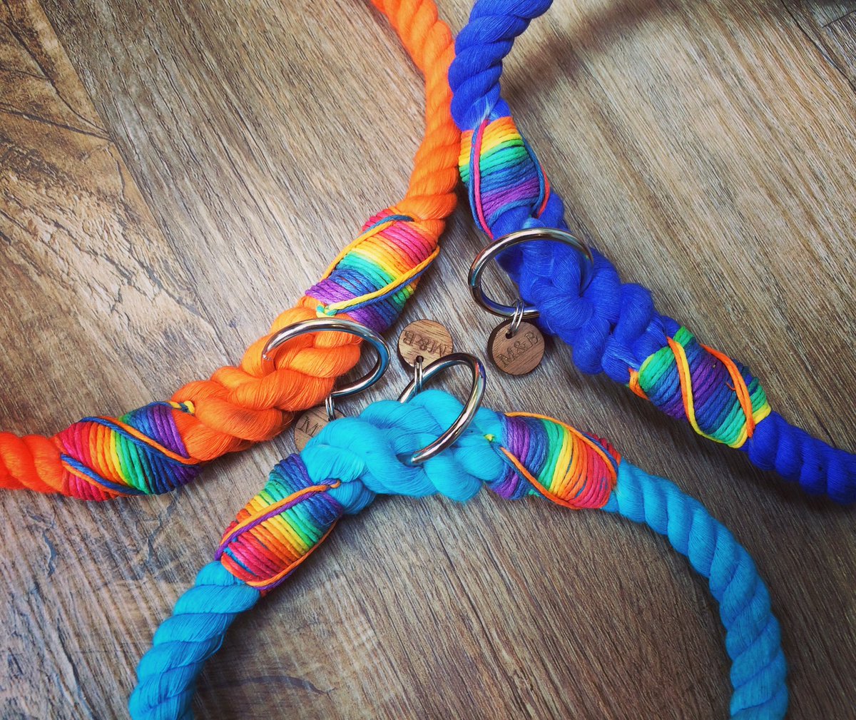 millieandbailey's tweet photo. Rainbow collars 🌈😍 #rainbow #ropedogcollar #handmade https://t.co/HaJjY8oRtn